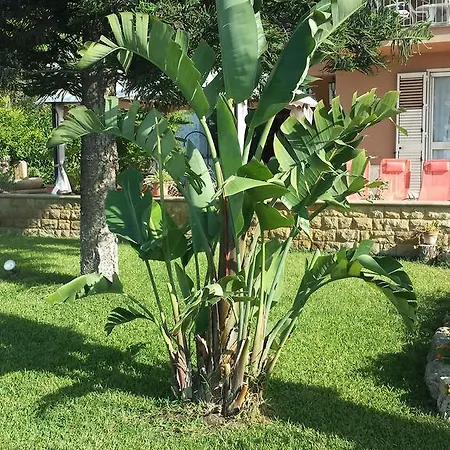 Vista Sul Mare *